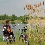 F.winkler