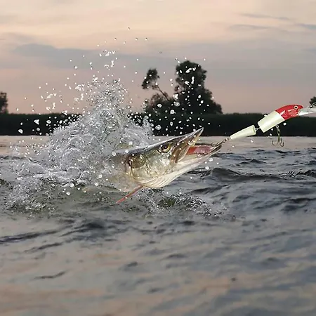 F.winkler Ferienhaus Neukalen