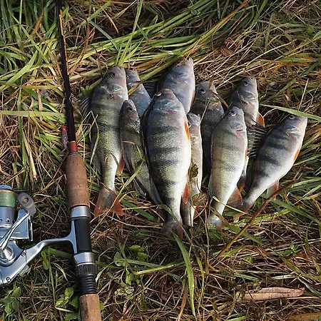 Дом отдыха F.winkler Neukalen